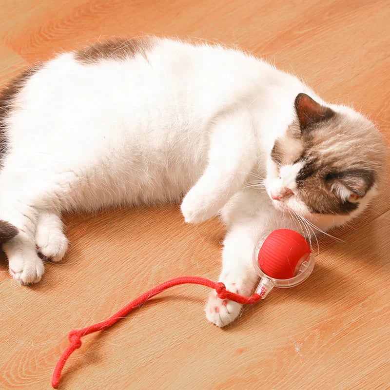 🐱 Keep Your Pets Entertained! | Smart Automatic Rolling Pet Ball