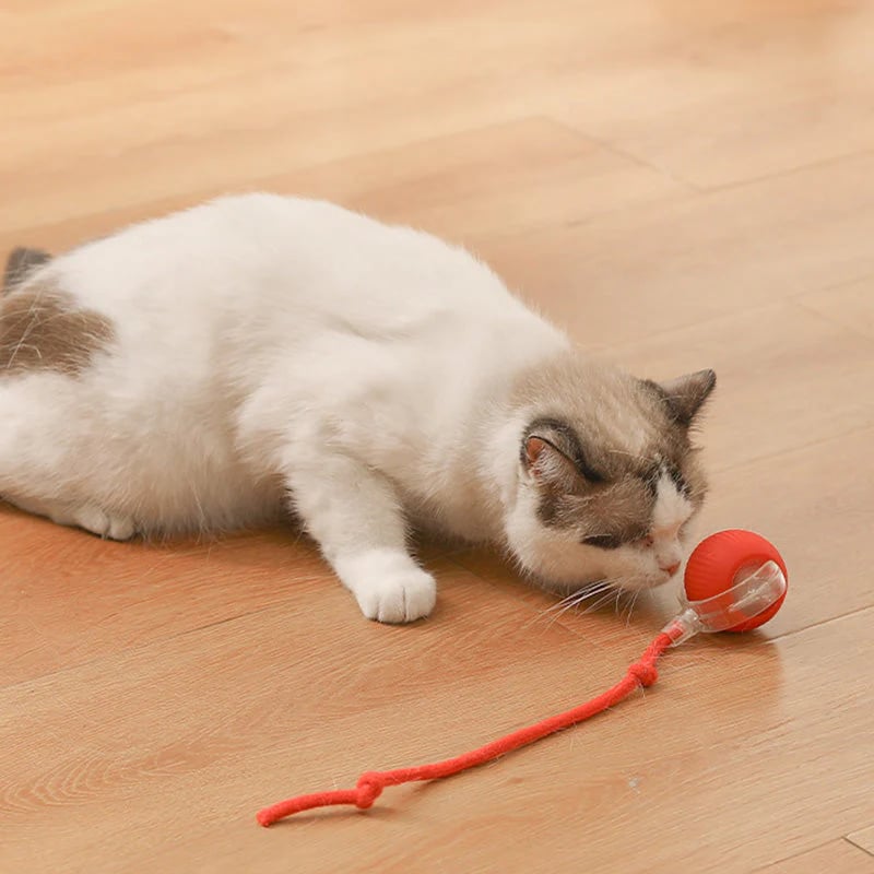 🐱 Keep Your Pets Entertained! | Smart Automatic Rolling Pet Ball