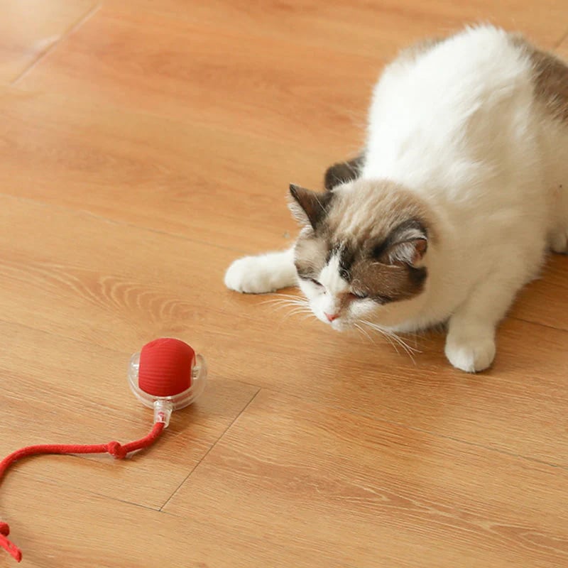 🐱 Keep Your Pets Entertained! | Smart Automatic Rolling Pet Ball