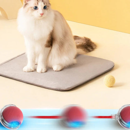 🐱 Keep Your Pets Entertained! | Smart Automatic Rolling Pet Ball