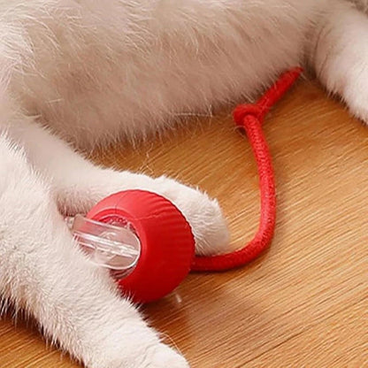 🐱 Keep Your Pets Entertained! | Smart Automatic Rolling Pet Ball