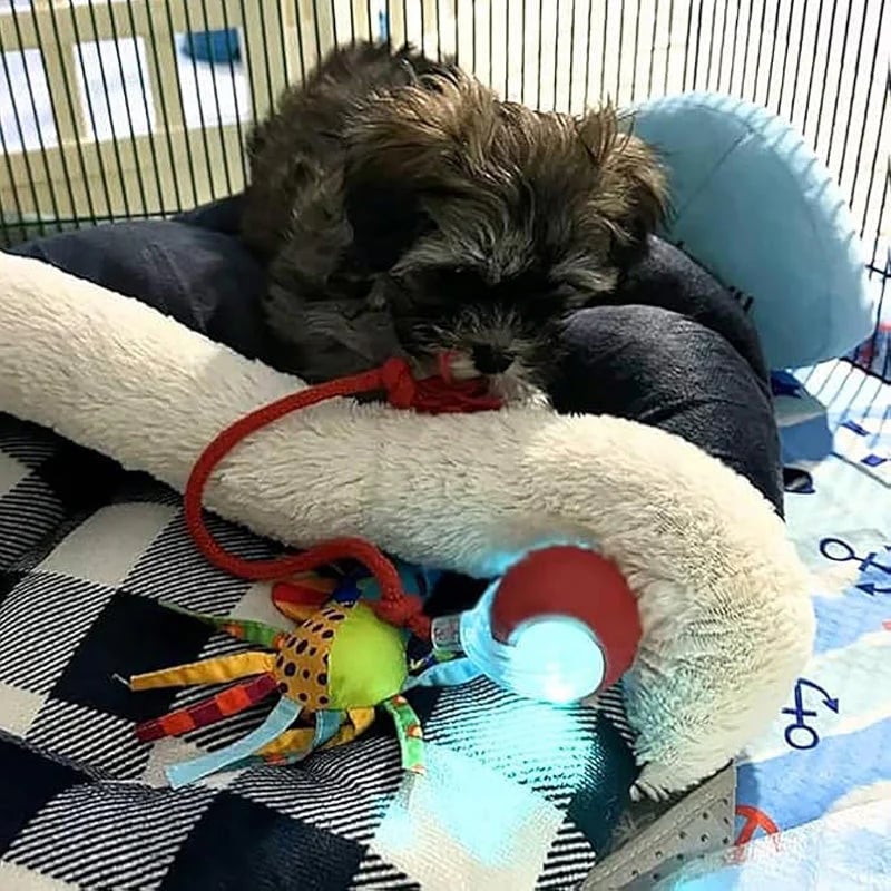 🐱 Keep Your Pets Entertained! | Smart Automatic Rolling Pet Ball