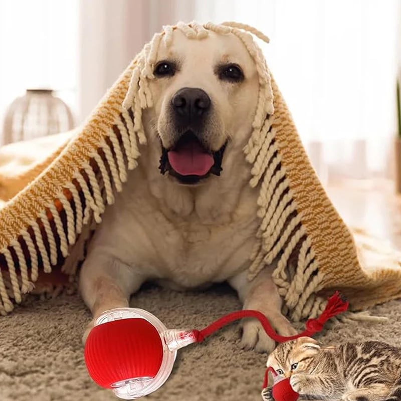 🐱 Keep Your Pets Entertained! | Smart Automatic Rolling Pet Ball