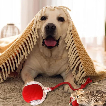🐱 Keep Your Pets Entertained! | Smart Automatic Rolling Pet Ball