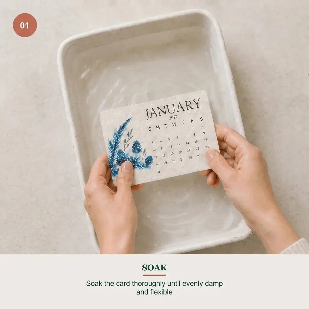 ⏳ Last Day 50% OFF|🌱 2027 Seed Paper Calendar – Grow a Garden Month by Month, A Gift of Hope & Sustainability