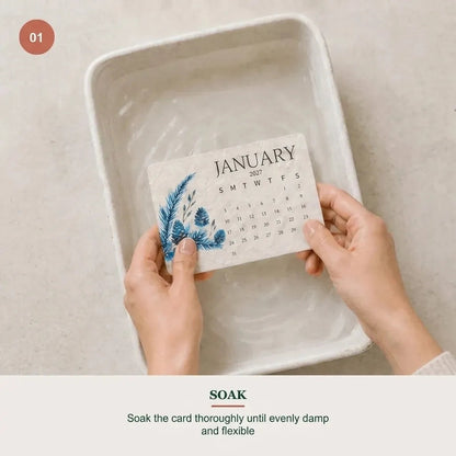 ⏳ Last Day 50% OFF|🌱 2027 Seed Paper Calendar – Grow a Garden Month by Month, A Gift of Hope & Sustainability