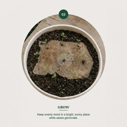 ⏳ Last Day 50% OFF|🌱 2027 Seed Paper Calendar – Grow a Garden Month by Month, A Gift of Hope & Sustainability