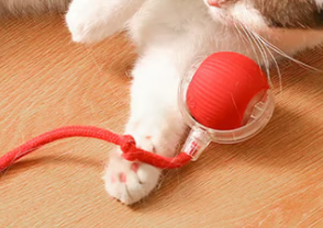 🐱 Keep Your Pets Entertained! | Smart Automatic Rolling Pet Ball