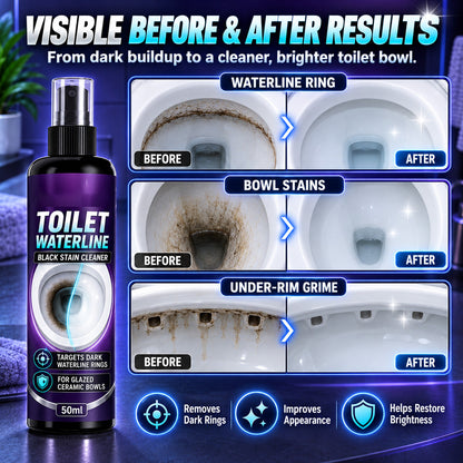 🚽 Toilet Stain & Scale Remover