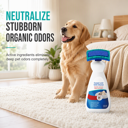 ⏳ Last Day 50% OFF|🧼 Waterless Fabric & Carpet Cleaner